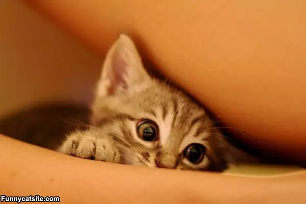 I Want To Play