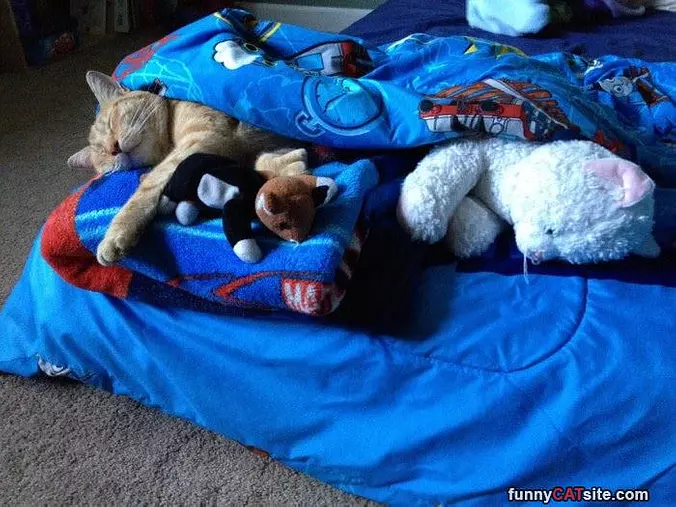 All Tucked In