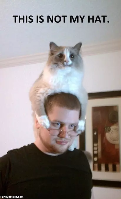 This Is Not My Hat
