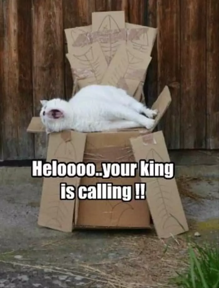 King Is Calling