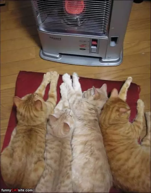 Place To Stay Warm
