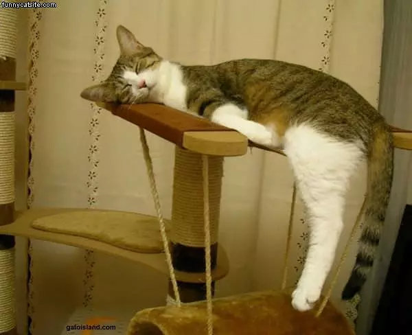 Nap