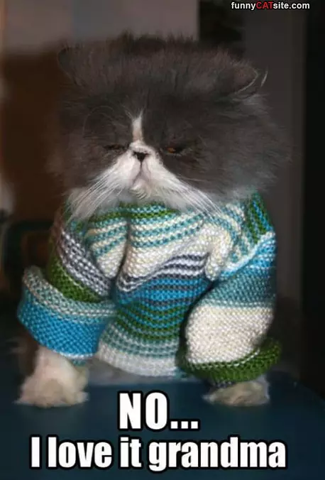 Thanks For The Sweater