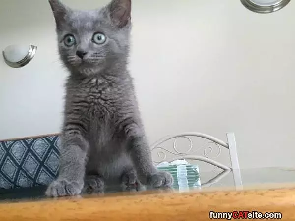 Big Eyes