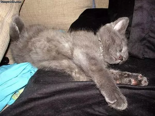 Ill Sleep Anywhere