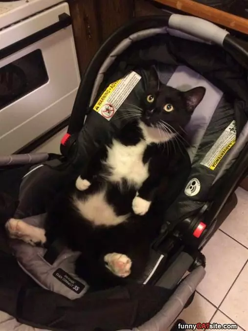 I Am A Big Baby