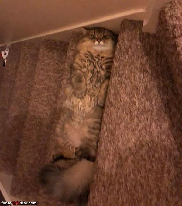 Chilling On The Steps