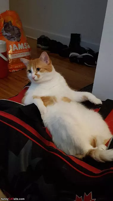 I Am Just Relaxing
