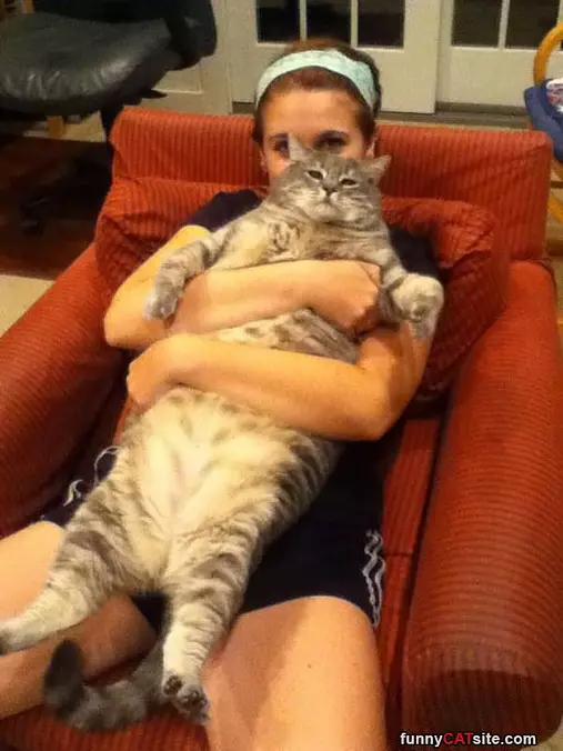 That Is A Big Cat