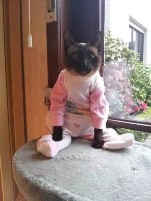 Do You Like My Onesie