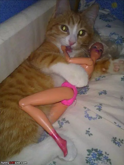 In With Barbie