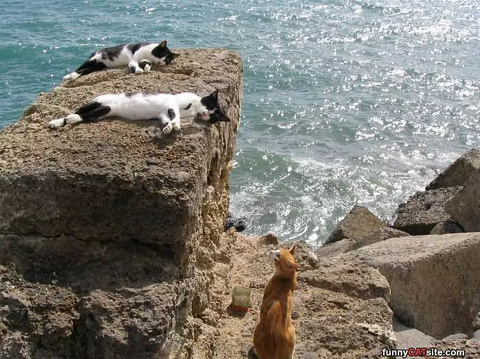 A Relaxing Day