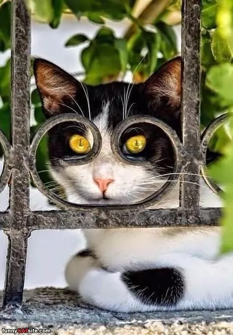 My Special Hangout Place