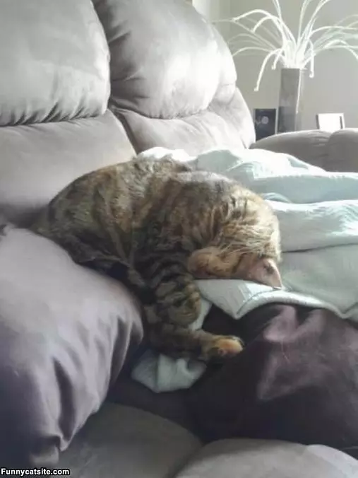 Asleep Yoga