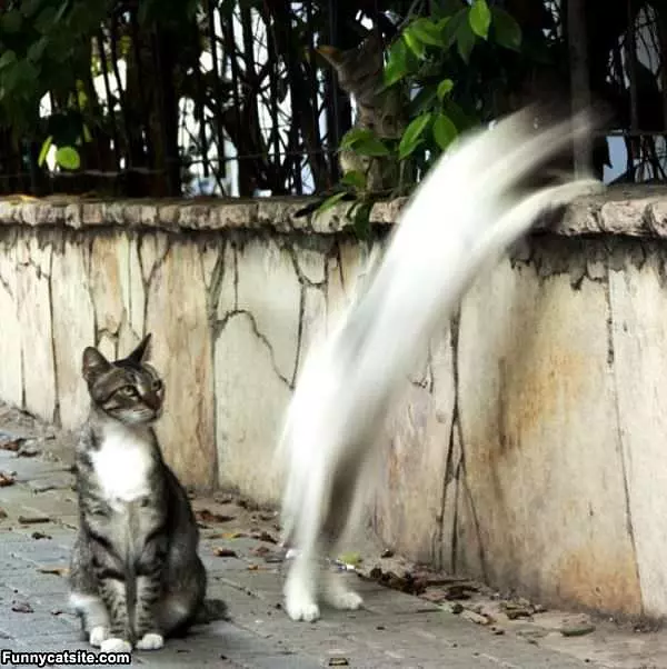 One Fast One Slow