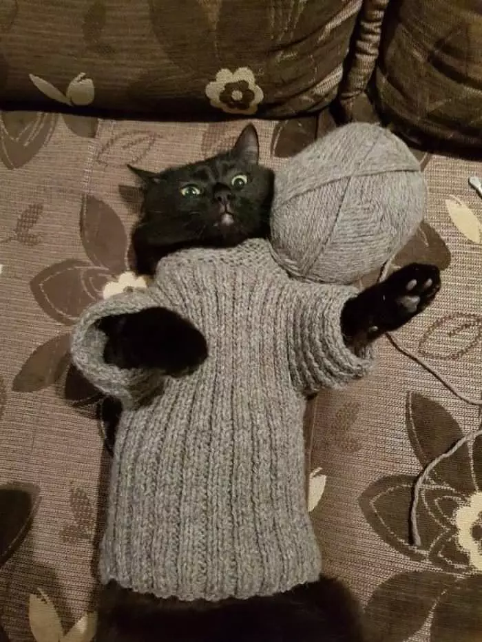 Making A Sweater