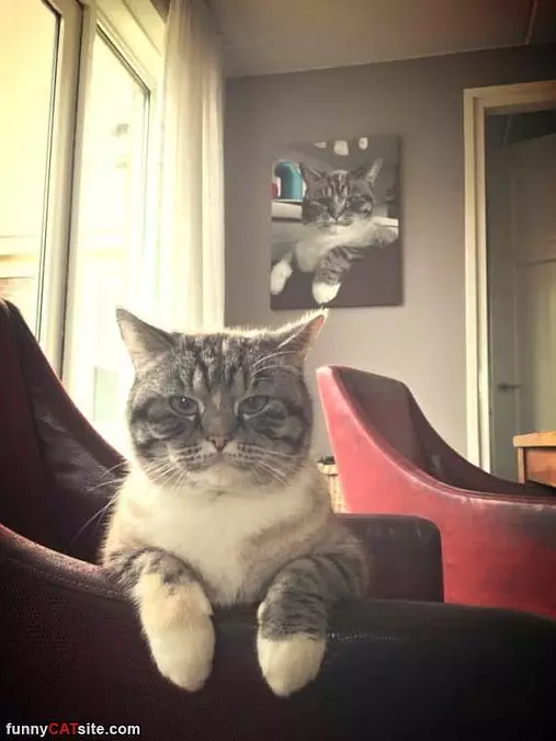 Not Happy To See You