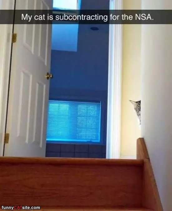 Hiding Behind The Corner
