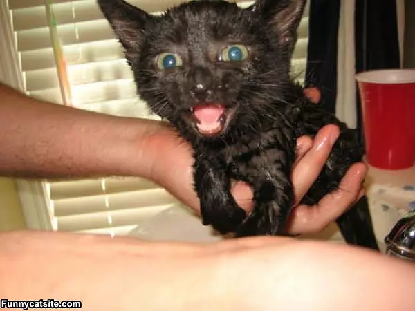 I Hate The Baths