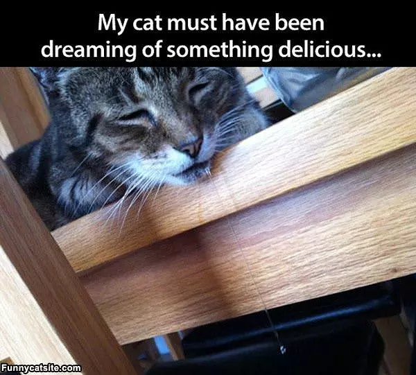 Delicious Dreams
