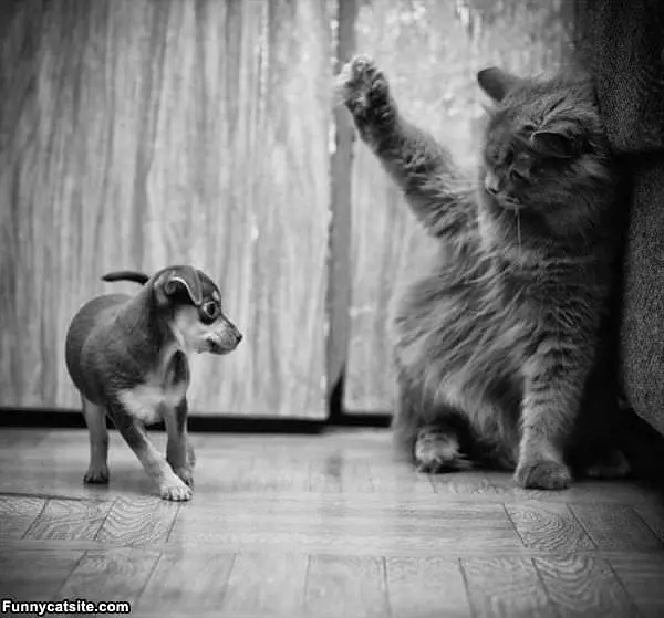You Back Off