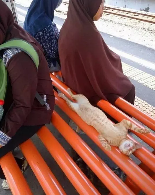 I Am Sleeping Here