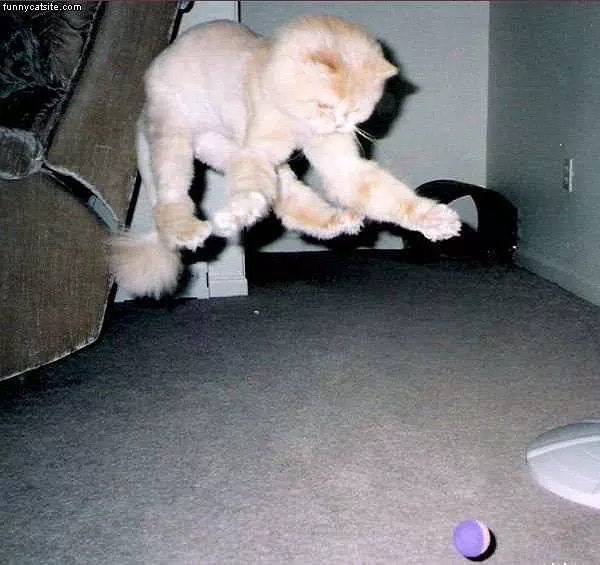 Attack The Fuzz Ball