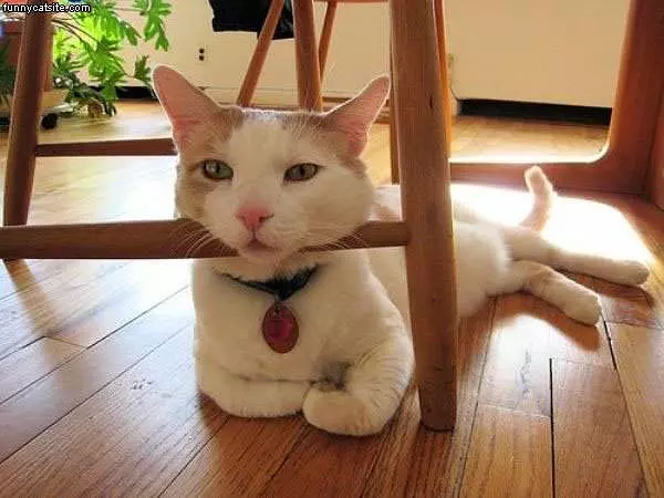 Headrest
