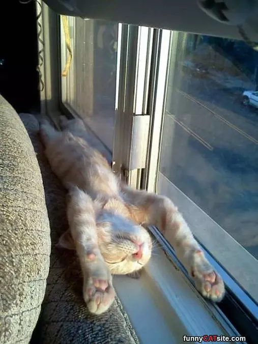 Warm Me Up Sunshine
