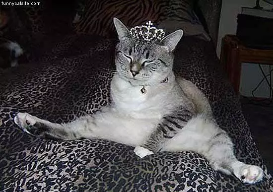 Princess