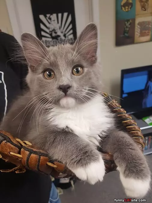 I Am A Cute One