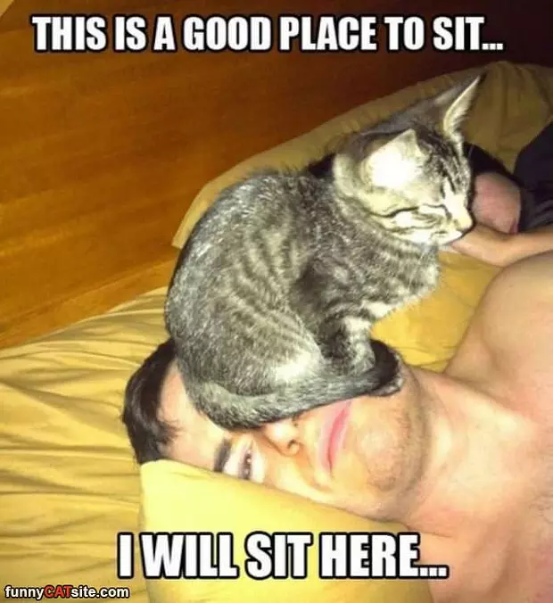 Good Place To Sit
