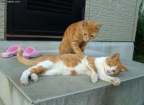 Massage