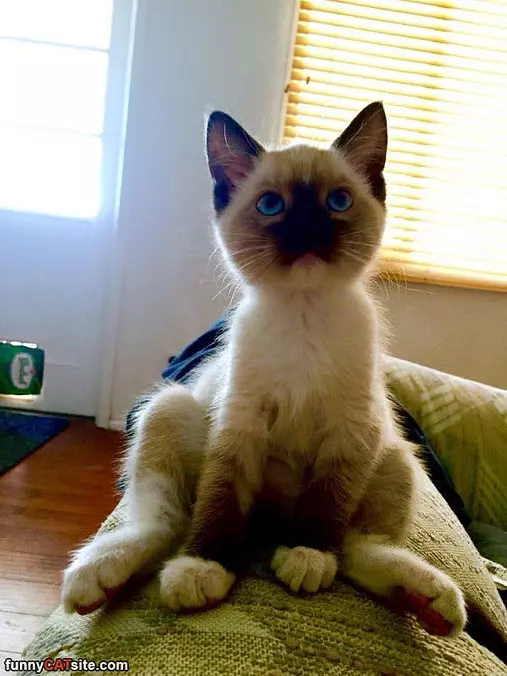 Just Relaxing Here