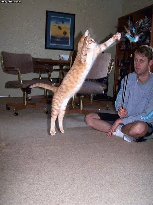 Jumper