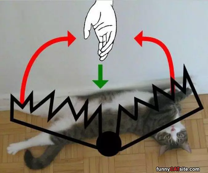 Its A Trap