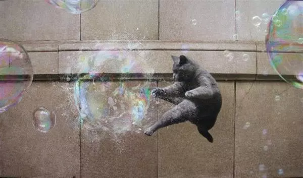 Bubble Fight