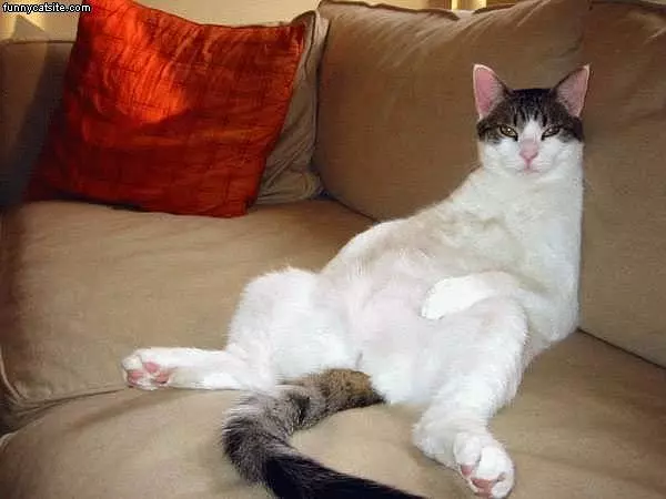 Lounging