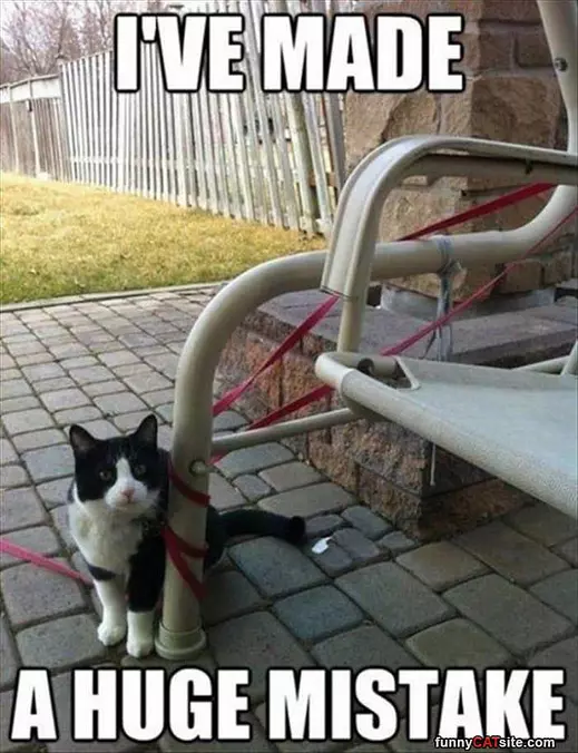 Made A Mistake