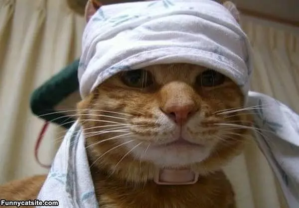 Ready For Surgery