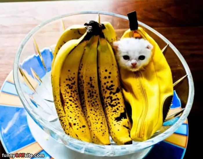 Im A Banana