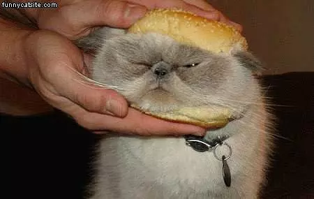 Sandwich Face