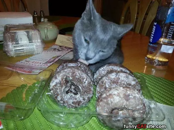 Love Me Some Donuts