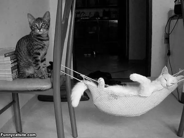 So Relaxed