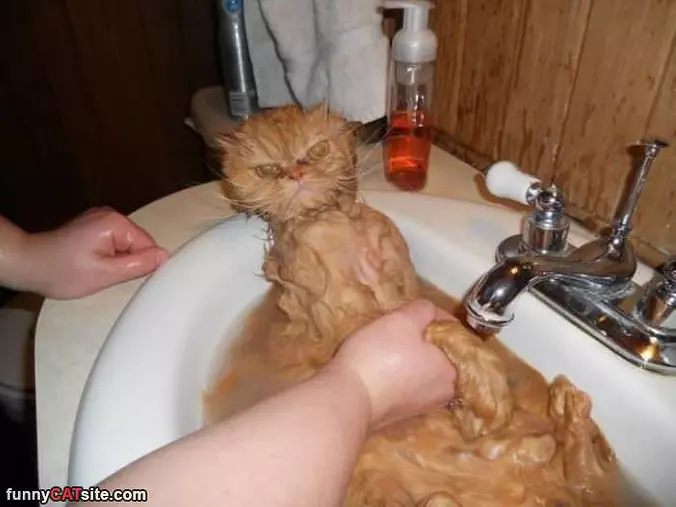 Having An Amazing Bath