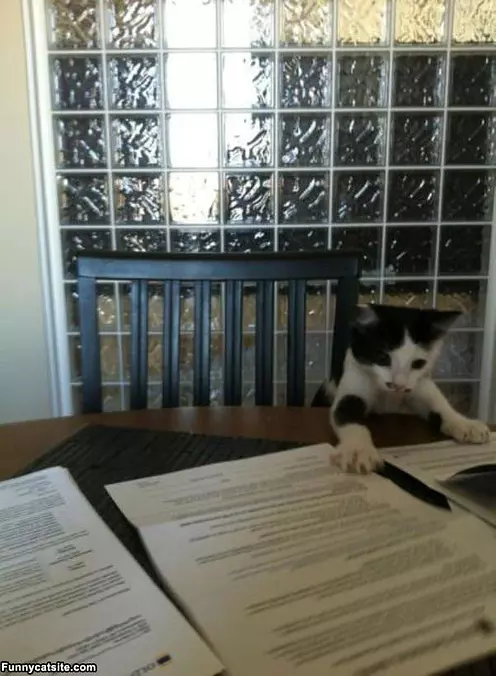 Lots Of Paperwork