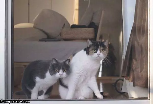Look Over There
