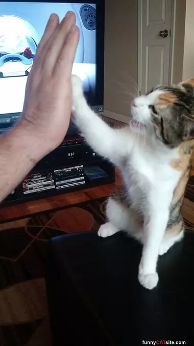 Heeyyyy High 5