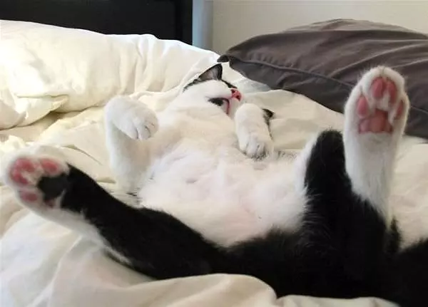 Never So Relaxed