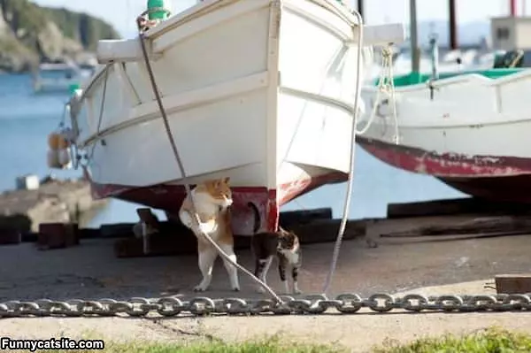 Lets Get This Boat